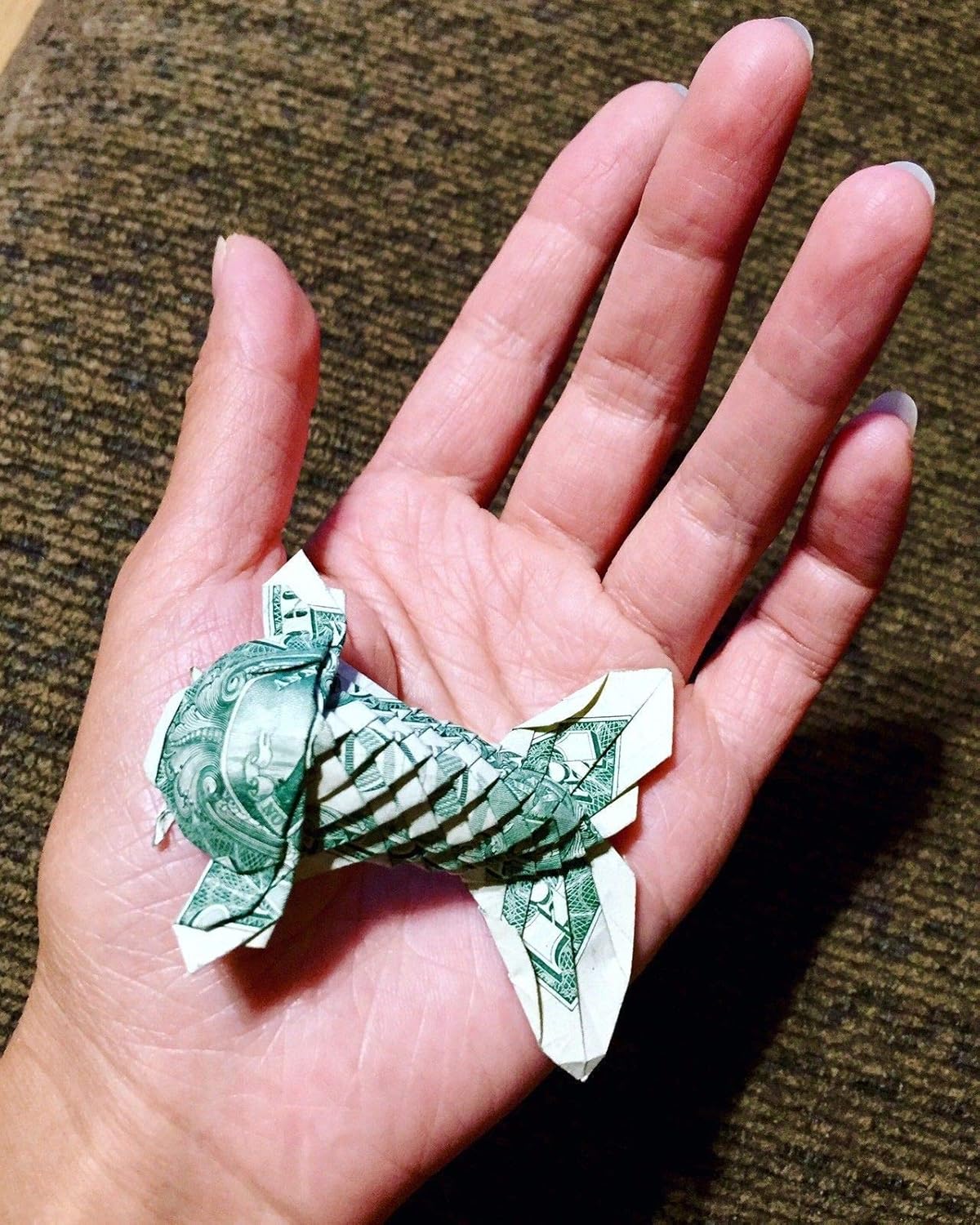 Money Origami Koi fish US Dollar 1 Bill Graduation