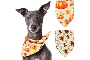 Pohshido Dog Thanksgiving Bandana Fall Pumpkin Constume Triangle Bibs for Pets, 2 Pack Reversible Puppy Holiday Bandana Small Medium Large Dog Turkey Scarf for Dogs Cats Pets Animal