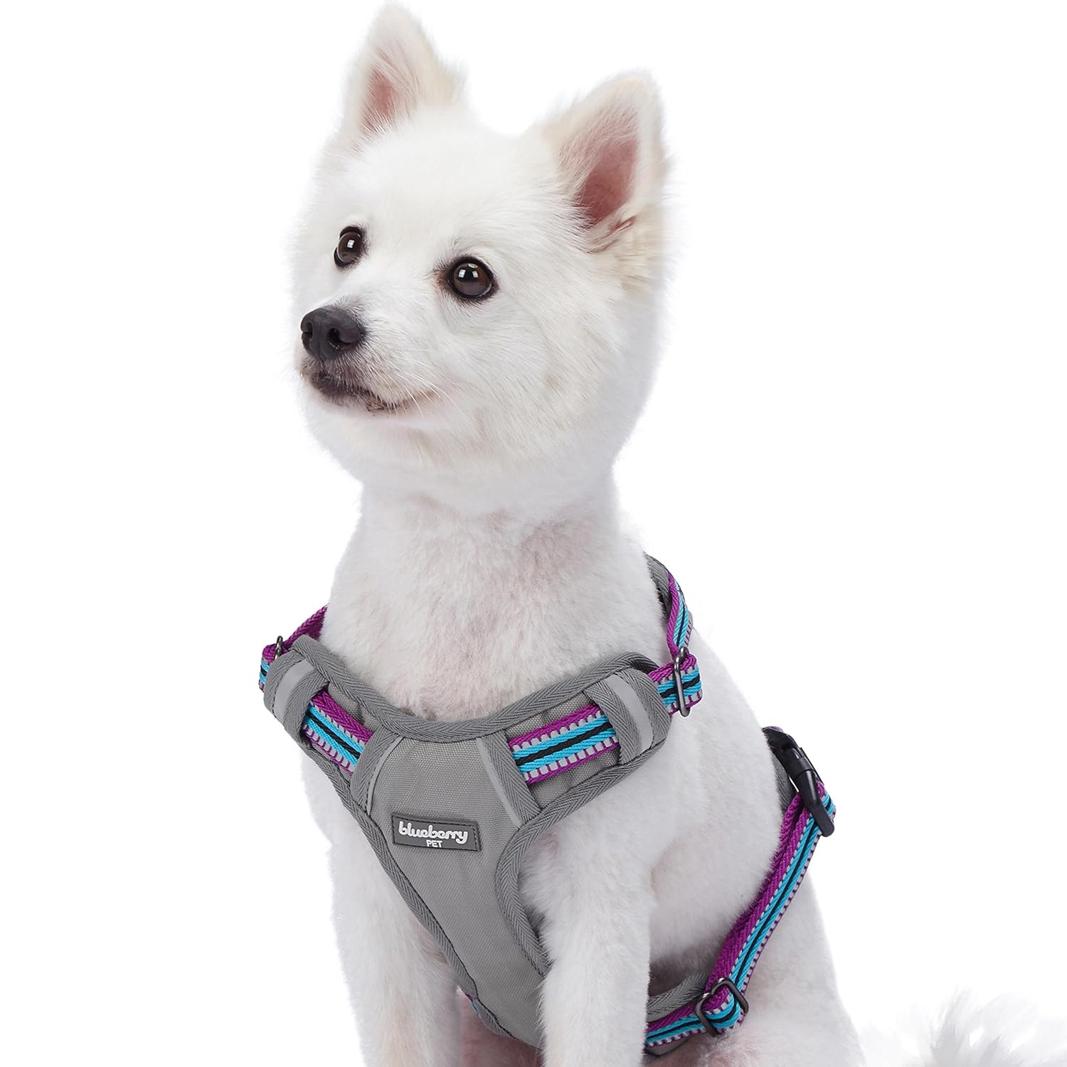Best 3M Dog Harness