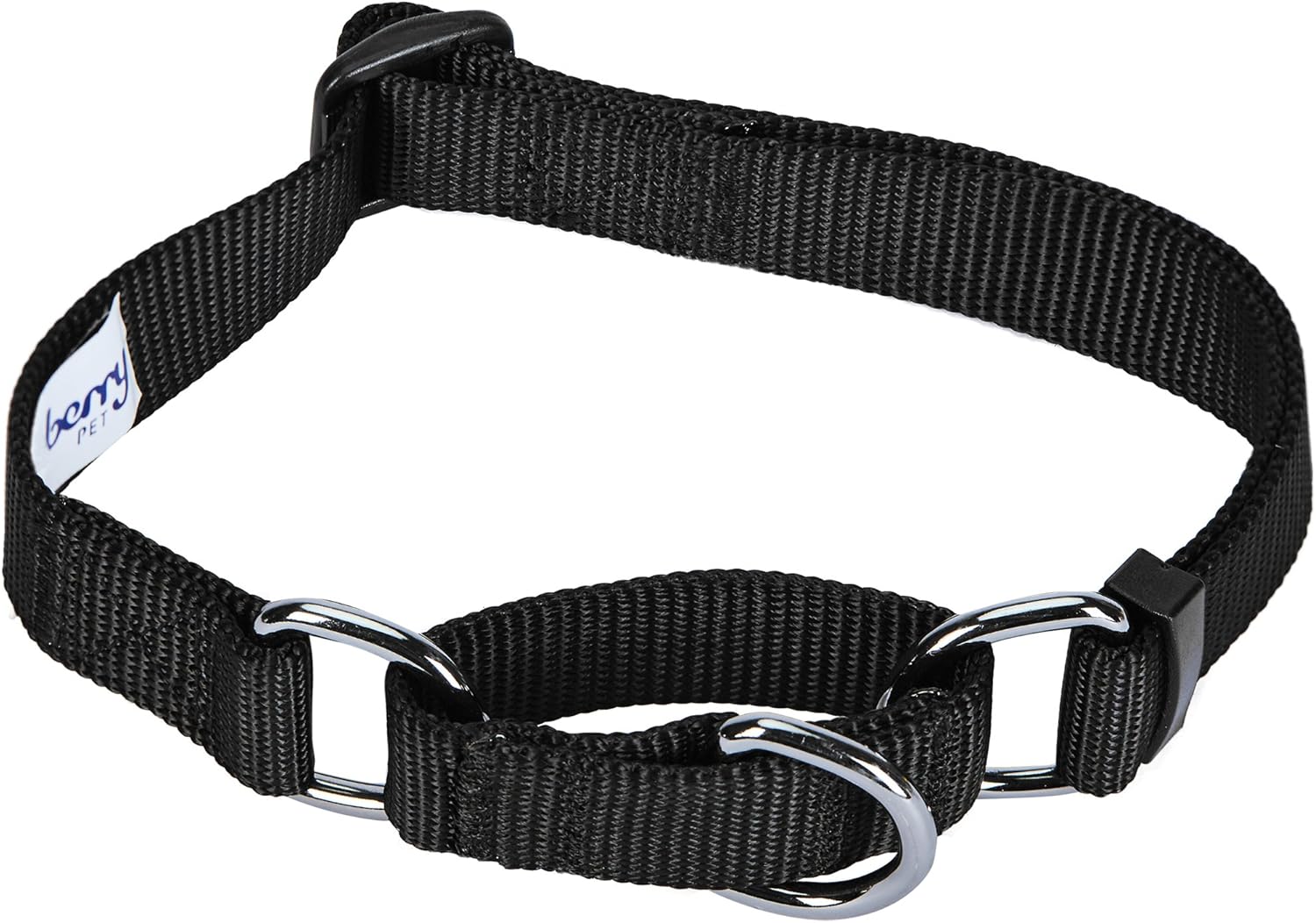 Blueberry Pet Safety Training Martingale Dog Collar, Black, Small