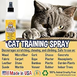 Bodhi Dog 3-in-1 Cat & Kitten Training Aid | Cat