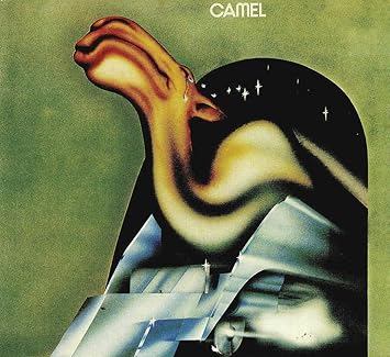 Camel Amazon Co Jp