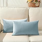 Stellhome Pack of 2 Throw Pillow Covers Rectangle Super Soft Solid Velvet Pillowcase for Bed Couch Sofa Bench, 12 x 20 inch (30 x 50 cm), Silver Blue
