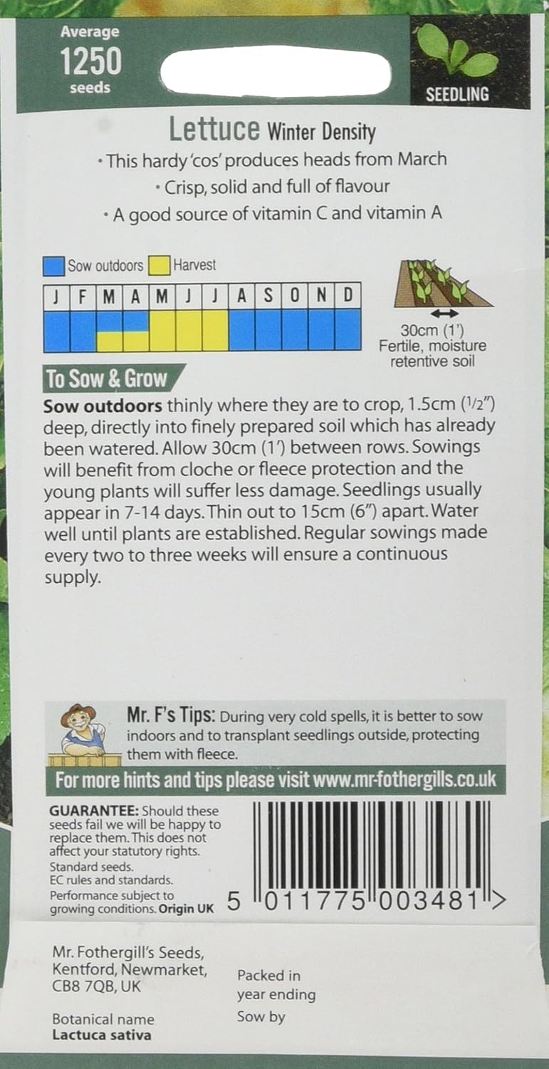 Mr Fothergill's 19517 Vegetable Seeds, Lettuce Winter Density - Image 3