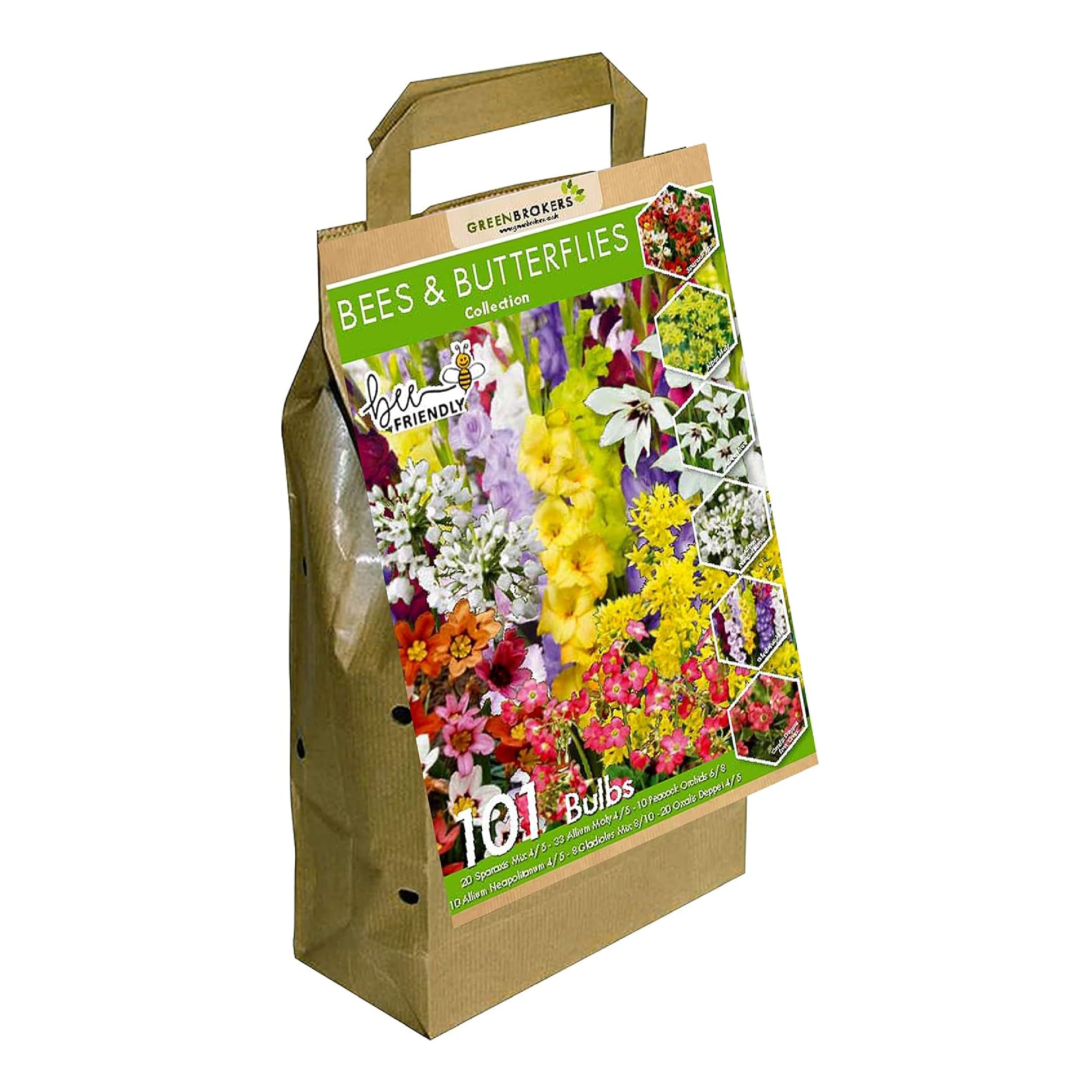 101 Bee & Butterfly Summer Bulb Collection | 101 Bulbs | 6 Flowering Varieties | Mixed Colours | Eco Packaging | Plant Now Ready to Bloom in Summer