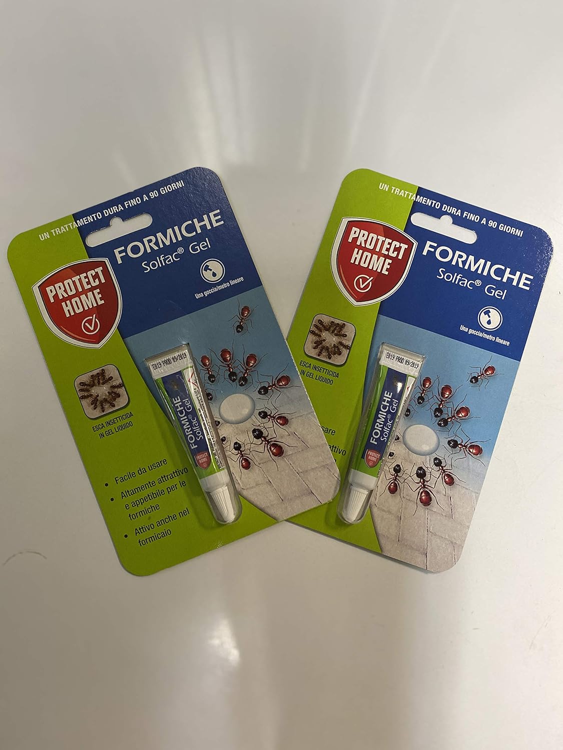 formicai in gel