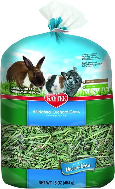 orchard grass hay guinea pigs