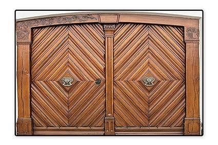 Amazon Com Collection Area Rug Old Door With A Golden Lion