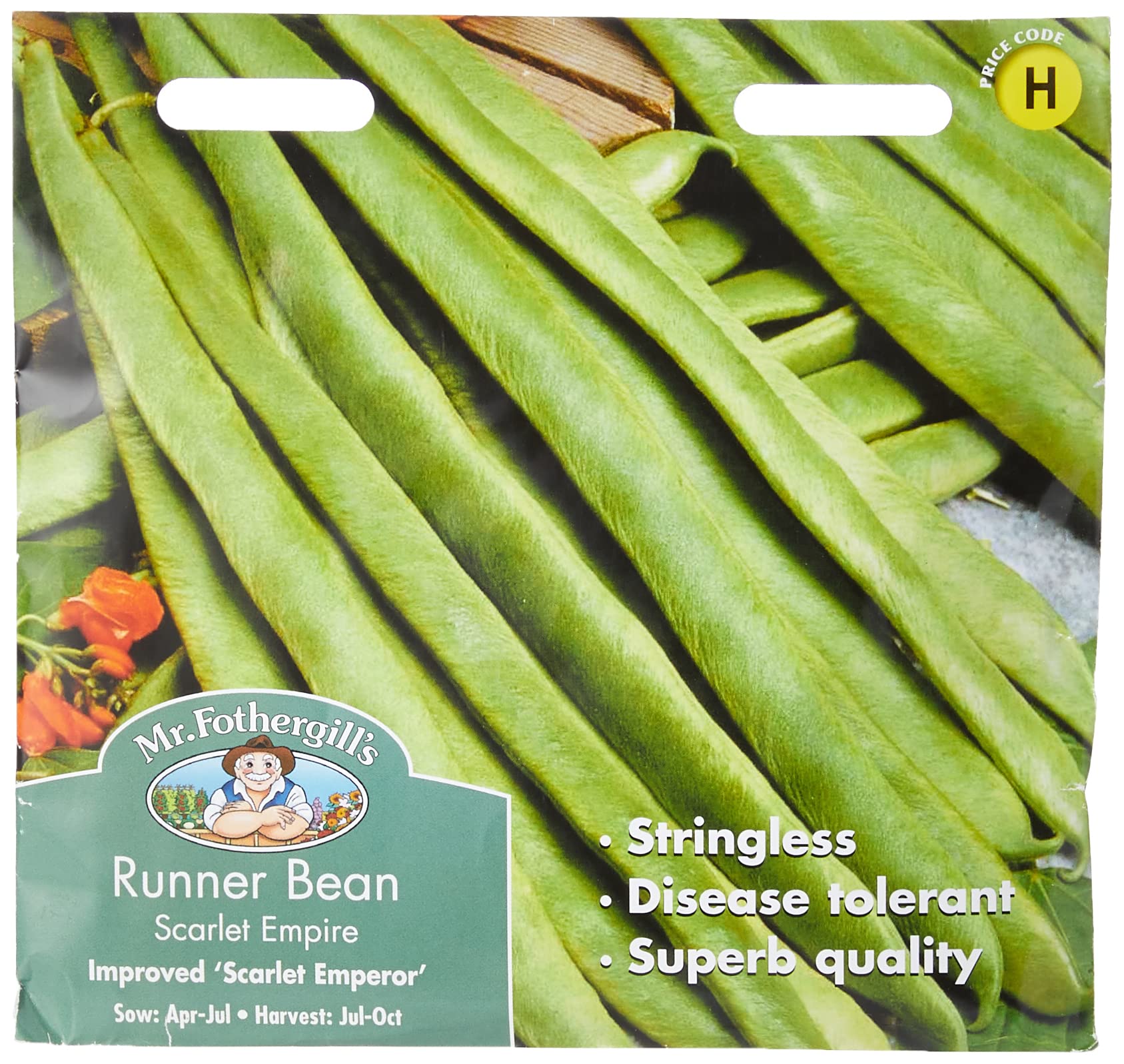 Mr Fothergill's Runner Bean Scarlet Empire (Stringless)