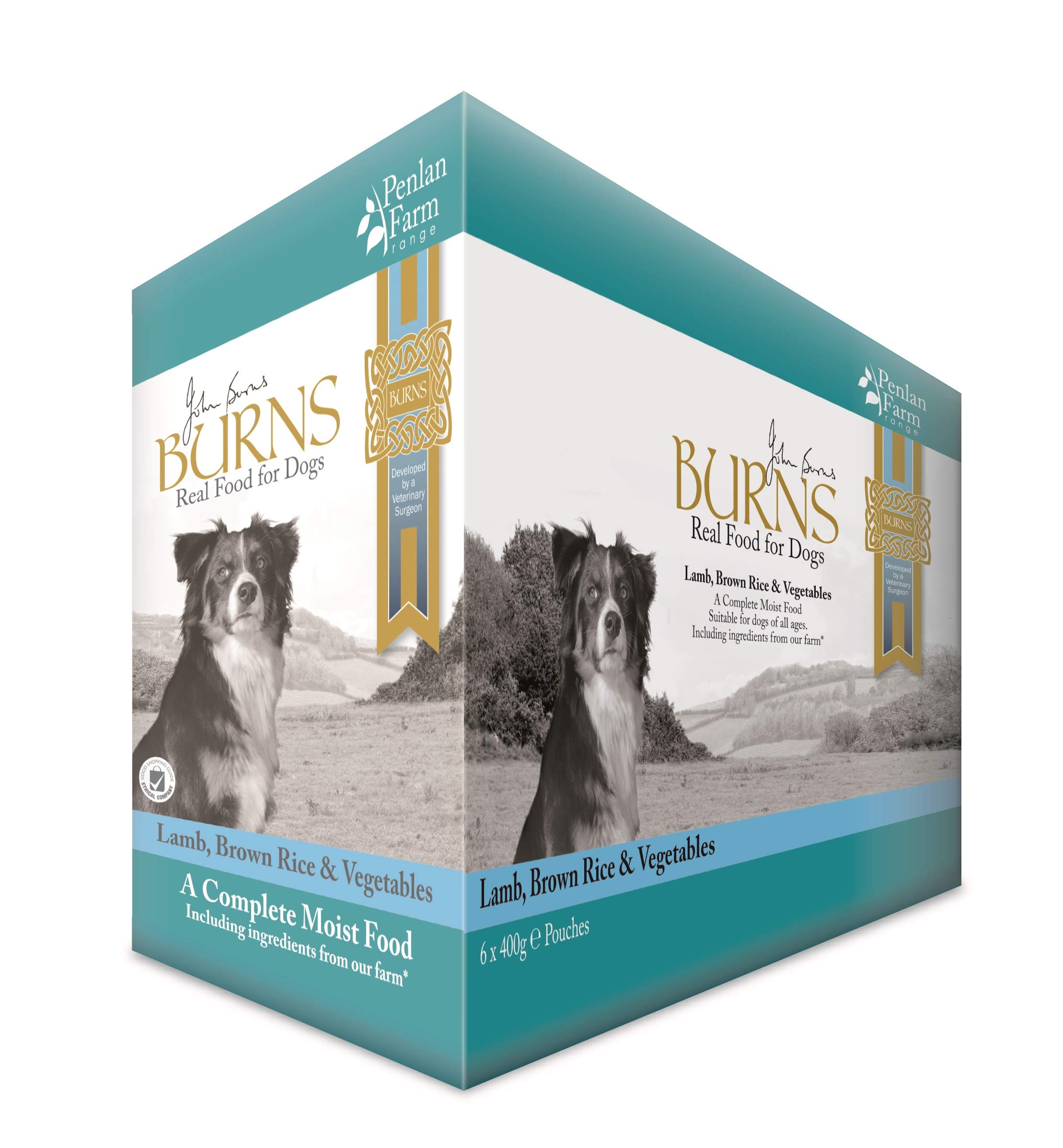 Burns Pet Nutrition Hypoallergenic Complete Wet Food Adult Dog Penlan Pouch Lamb Brown Rice & Vegetables 6x400 gm