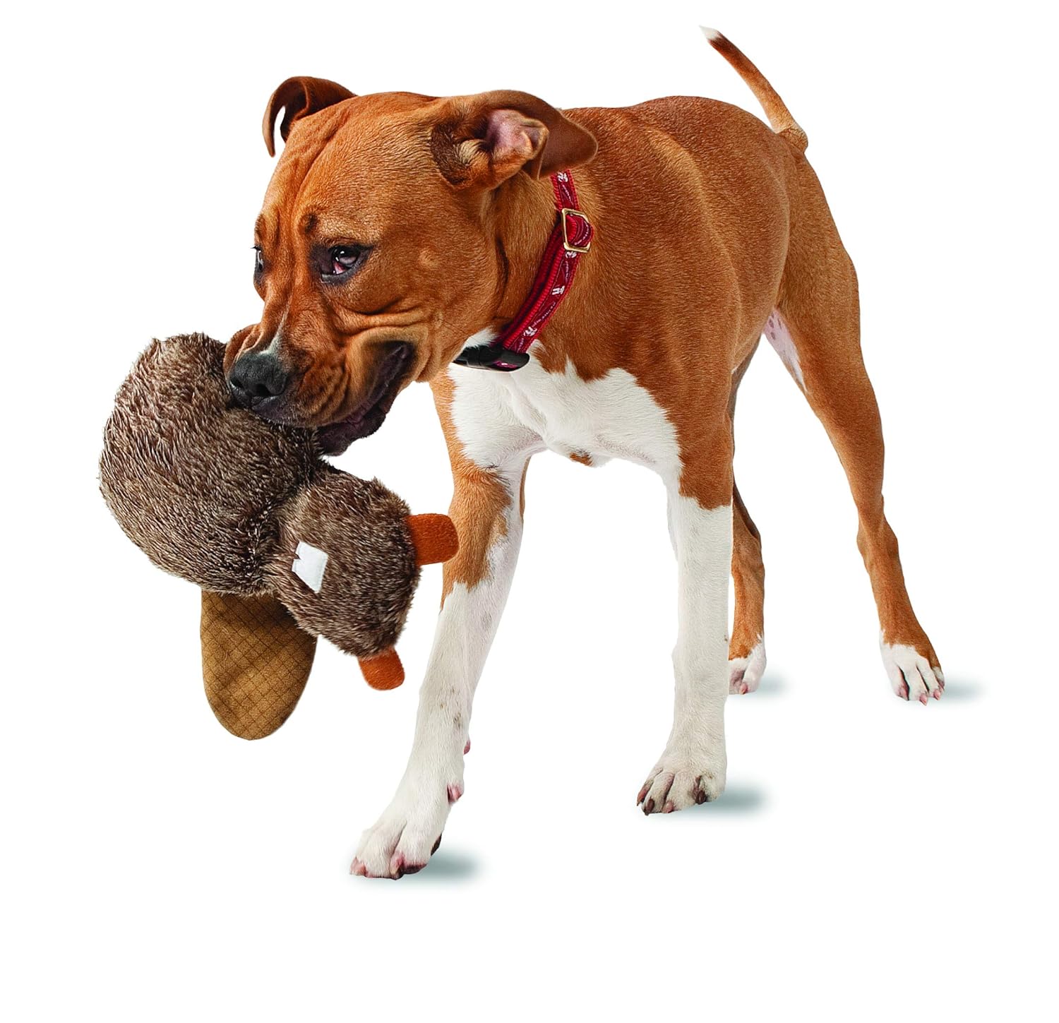 pogo plush slap happy