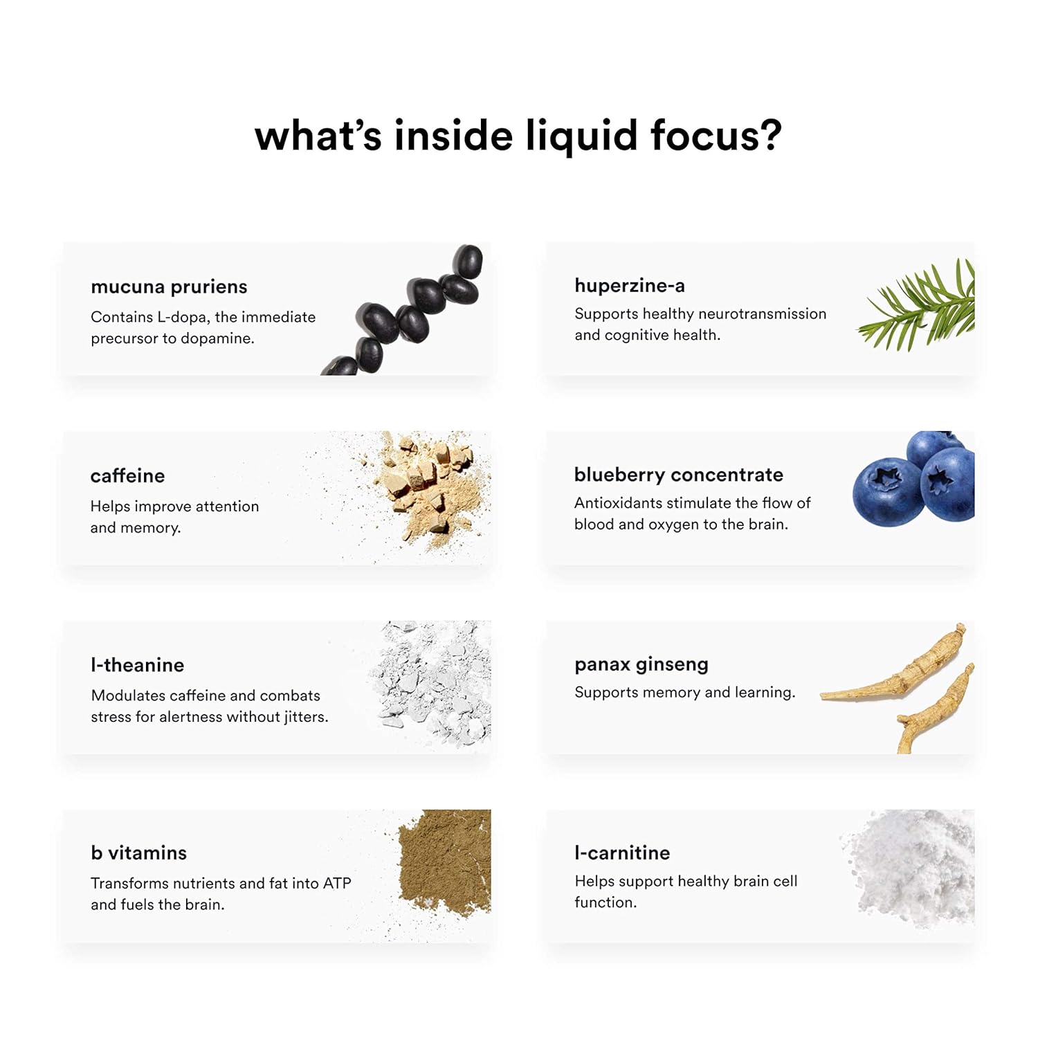 Liquid Focus by More Labs: Nootropic Energy Shot - Clinically-Proven Ingredients - Powerful Antioxidants & Adaptogenic Herbs - 150mg Caffeine - Berry Flavor - Vegan - Gluten Free (Pack of 8): Health & Personal Care