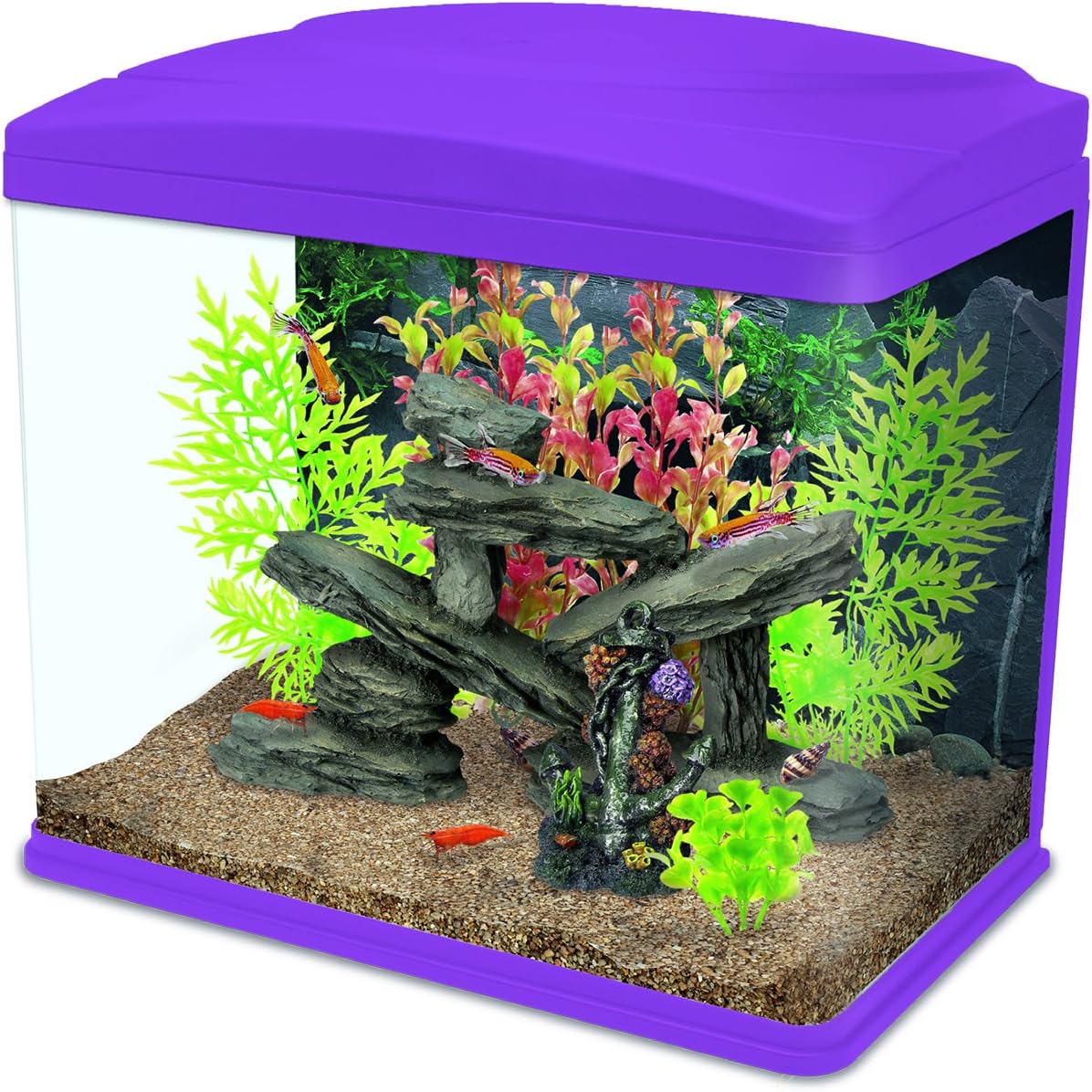Interpet Fishbox LED Aquarium Fish Tank, 20 L – Pink – BigaMart