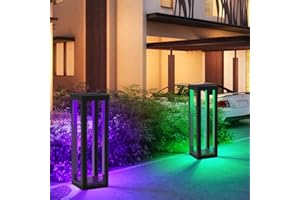 CREPOW Solar Patio Floor Lamp Outdoor, 2 Pack RGB Color Changing Landscape Path Lights Garden Decorations Waterproof 12H Endurance Cordless Landscaping for Porch Lawn Yard Backyard (Black)