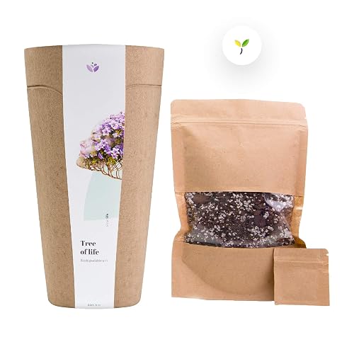 TREE URN™🌳 Biodegradable Urn System for cremated human ashes burial ...