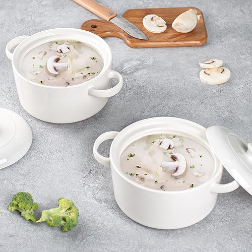 Aazon.co | LE TAUCI French Onion Soup Bowls With Handles, 16 Oz