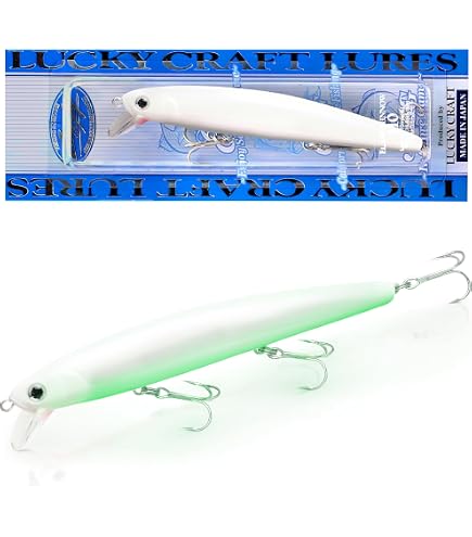 Milepetus Double-Sided Fishing Lure Hook Tackle Box Visible Hard Plastic Clear Fishing Lure Bait Squid Jig Minnows Hooks Accessory Storage Case Container (Clear-10 Slots) : Sports & Outdoors