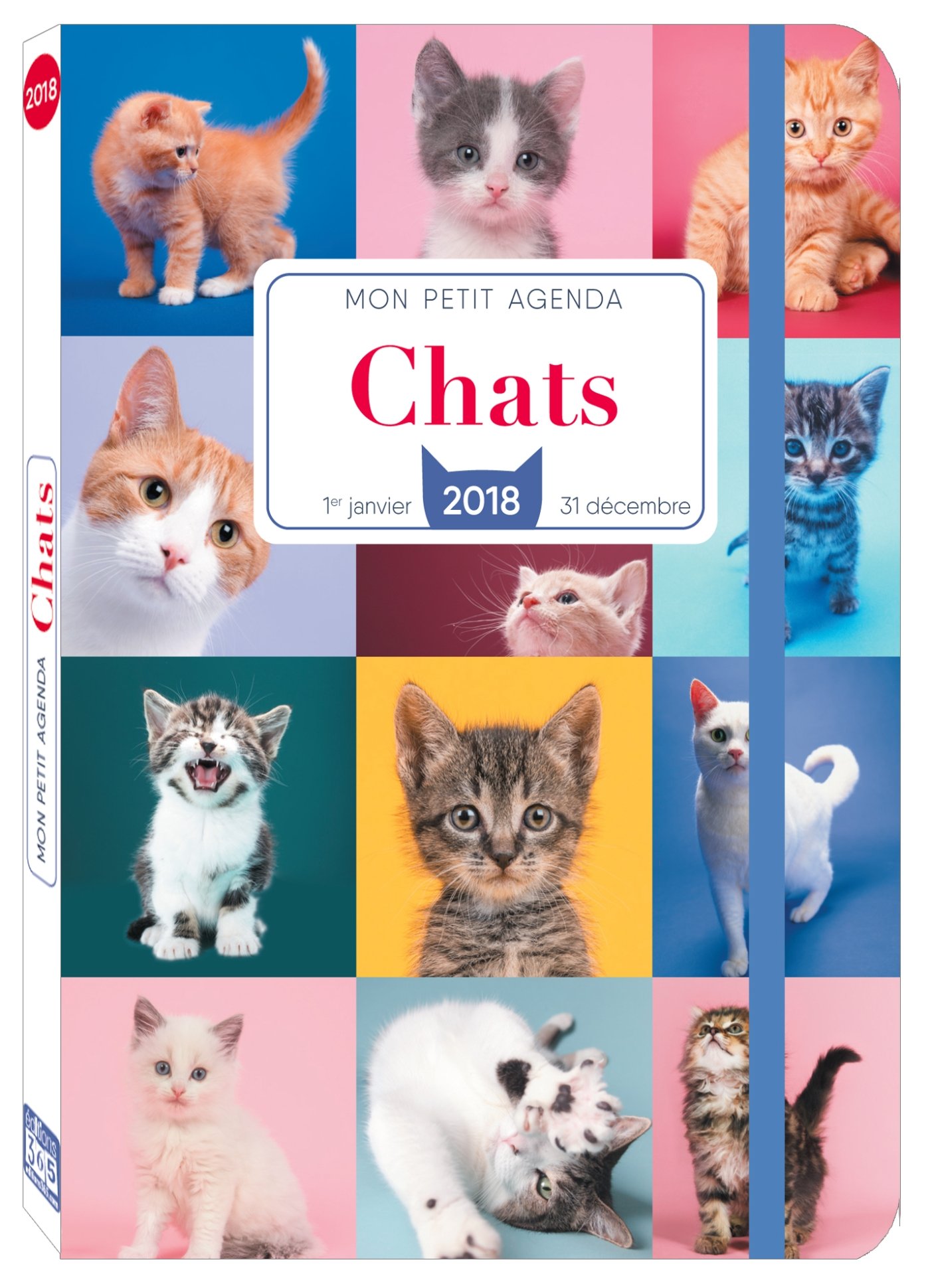 Mon Petit Agenda Chats 18 Collectif Fabok Jay Amazon Com Books