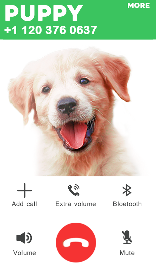 fake call from Golden Retriever Puppy Dog prank (no wifi) Pricepulse