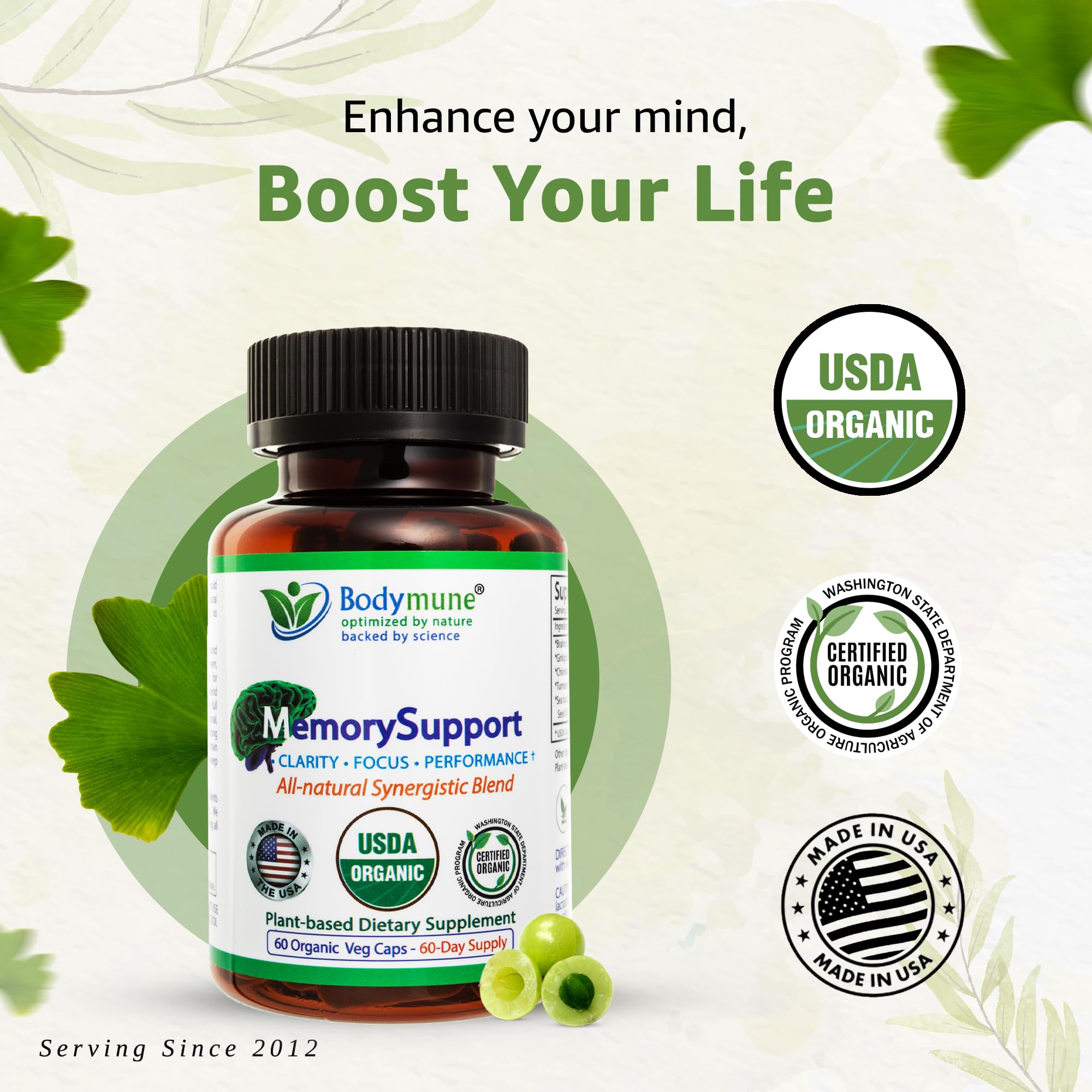 Bodymune MemorySupport Brain Health Formula | Supports Mental Clarity, Recall & Concentration* | USDA Organic Nootropic Blend with Ginkgo Biloba & Ashwagandha | 60 Vegan Caps | Made in USA