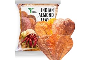 Tender Tropicals Hermit Crab Tank Accessories Indian Almond Leaves 6 Inch – Pack of 10 Natural Catappa Leaves for Aquarium & Reptile Tanks – Safe for Betta Fish, Shrimp, Snails & Amphibians