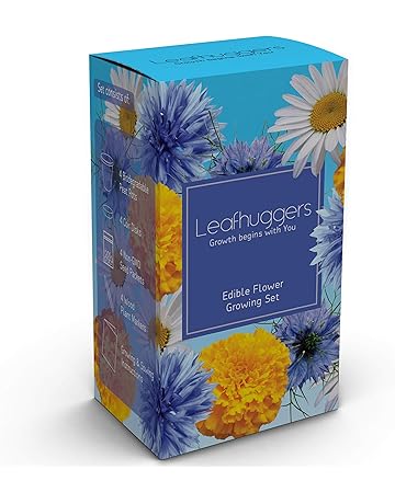 Amazon.es: Kits de cultivo en casa: Jardín