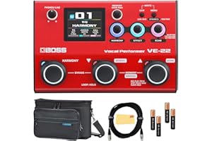 Boss VE-22 Vocal Performer Bundle with Carry Case, Gearlux XLR Cable, 4 AA Batteries, and Austin Bazaar Polishing Cloth