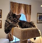 Review Image by JulieO JulieO