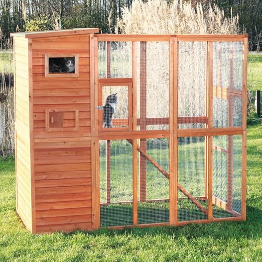 dog repellent powder