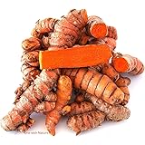 Fresh Wild Turmeric from Fiji by NINESHANI 1LB (1)