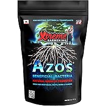 81ktOhhQ2vL._AC_UL210_SR210,