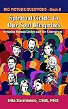 Spiritual Guide To Our Soul Blueprints: Bridging