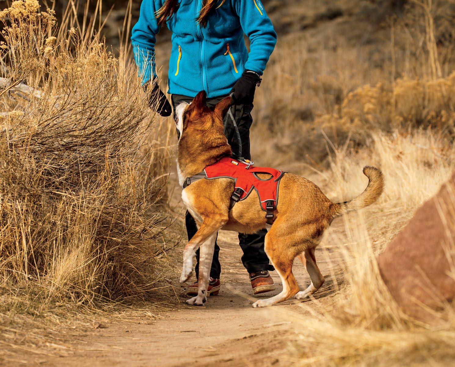 ruffwear dog harness amazon