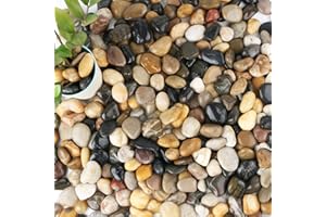 Anothera 18-lb Bulk Bag Pebbles for Plants 1-1.5 ” Aquarium Gravel River Rocks Garden Outdoor Decorative Stones
