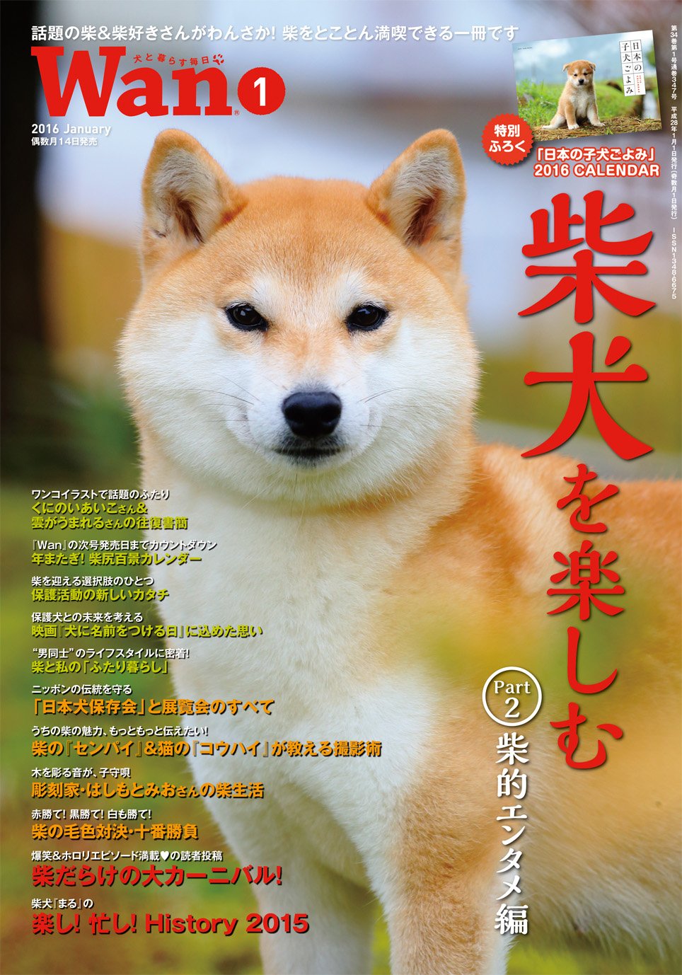 Wan ワン 16年 1月号 本 通販 Amazon