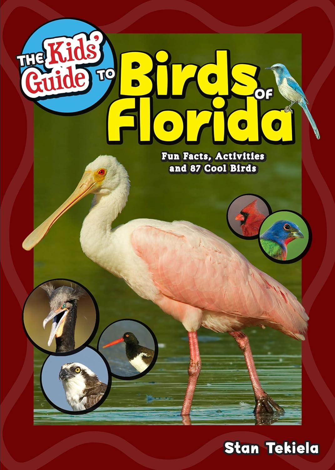 Camping - The Kids' Guide to Birds of Florida: Fun Facts, Activities and 87 Cool Birds (Birding Children's Books)