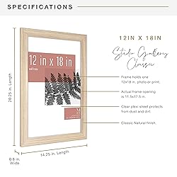 MCS Studio Gallery Classic 12x18 Picture Frame