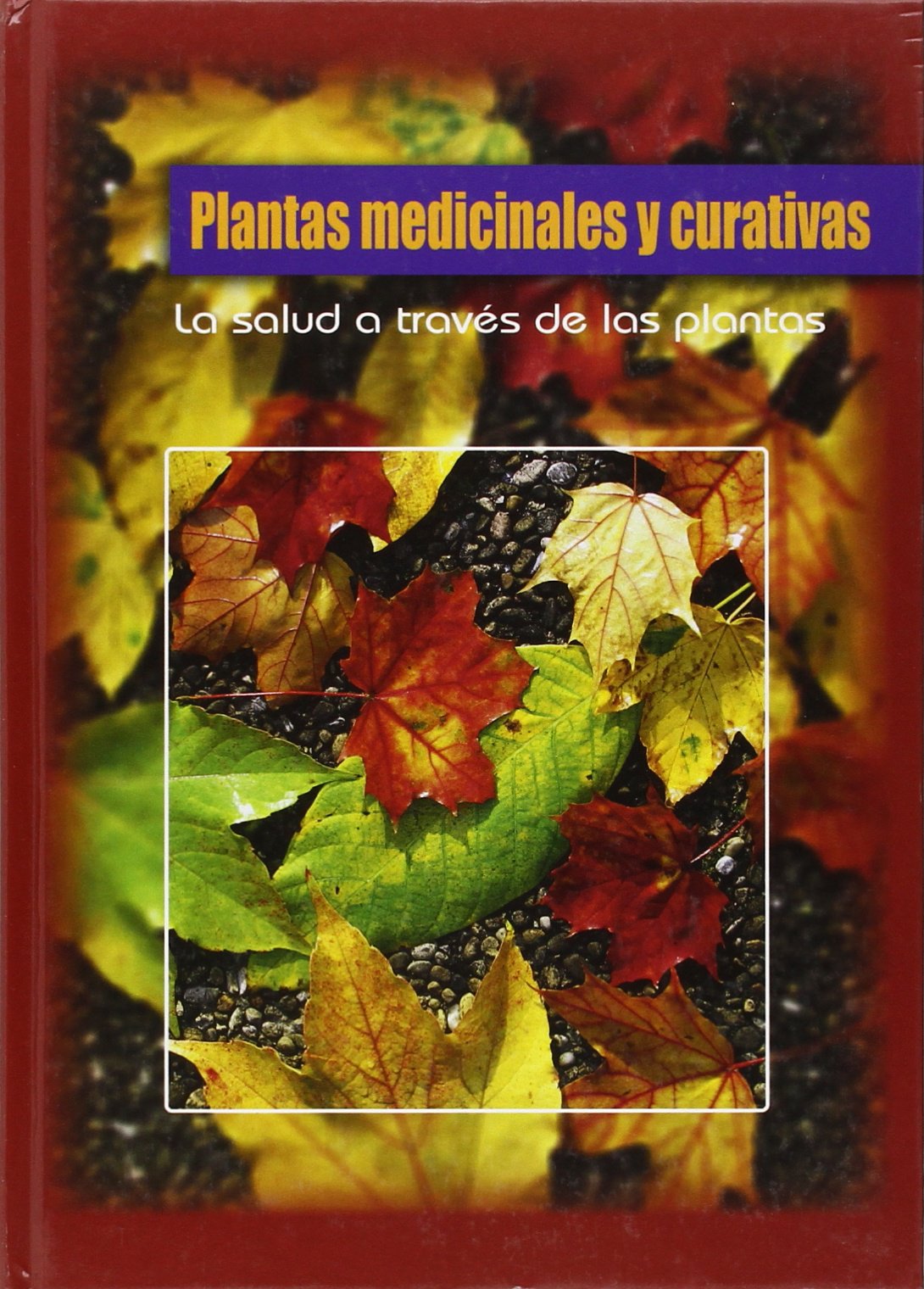 Portada de Plantas medicinales y curativas