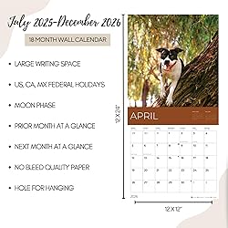 July 2025- December 2026 American Stafford Terrier