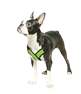 Gooby Choke Free Step-In Comfort X Dog Harness, Black