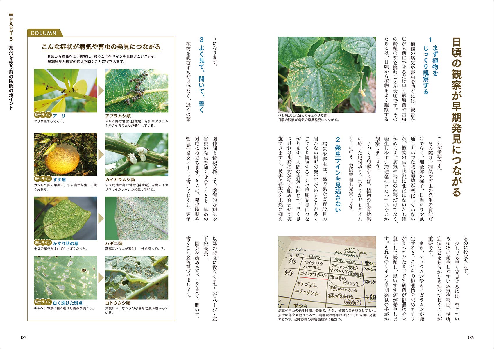 写真でわかる野菜 果樹の病害虫防除 病害虫対策 決定版 祐輔 草間 本 通販 Amazon