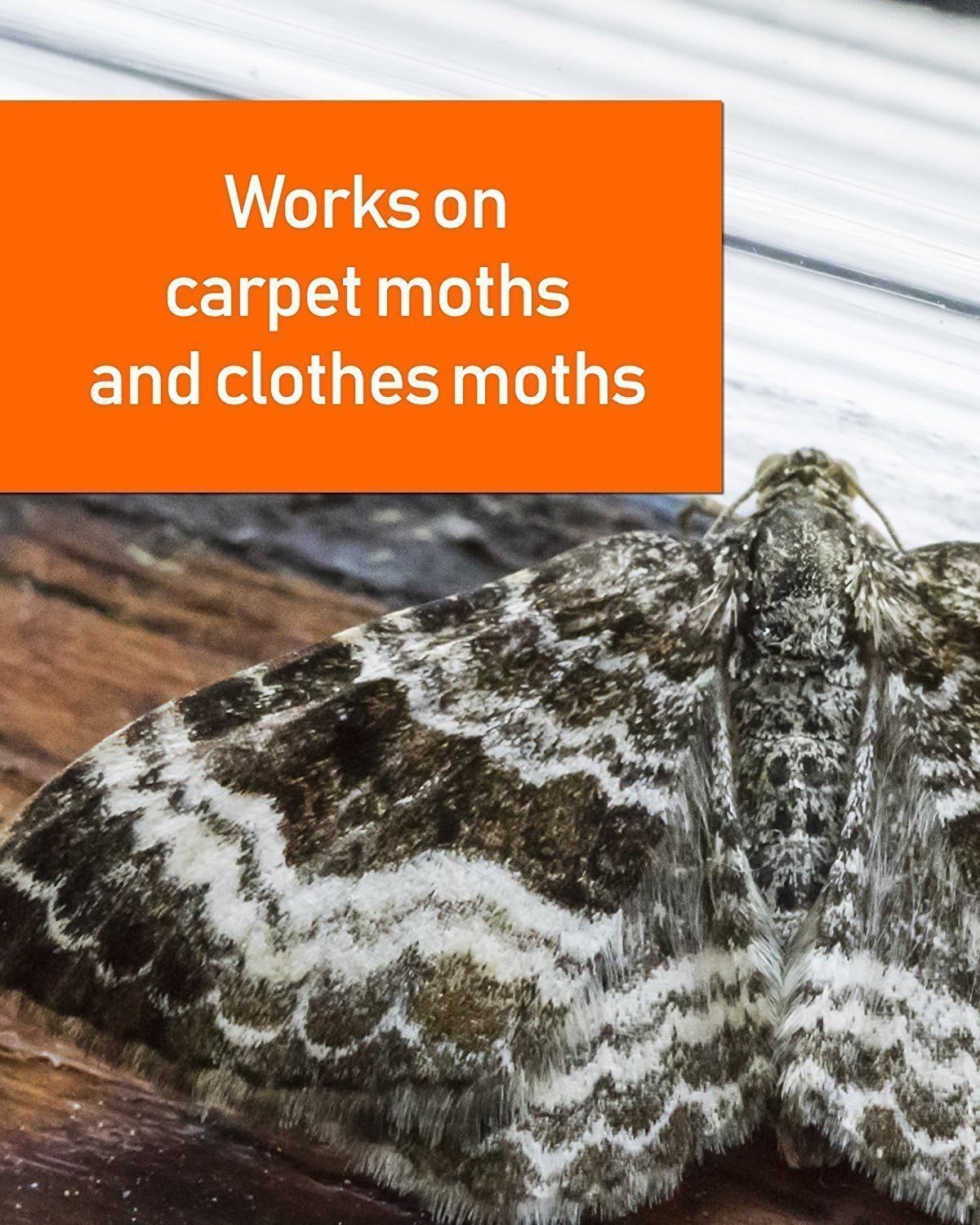 2 x 1L Carpet/Clothes Moth Killer Spray Treatment Fast Acting, Safe and Effective on All