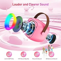 Mini Karaoke Machine with 2 Wireless Microphones
