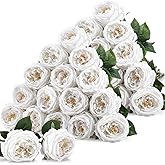 Giegxin 20 Pcs Real Touch Peonies Austin Roses Artificial Flowers, Faux Look Real Long Stems Fake Flower with Big Blooms for Christmas Valentines Wedding Party DIY Arrangement Home Decor(White)