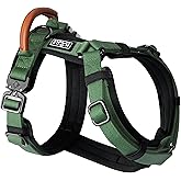 MADE TO ROAM Premium Explorer Harness - Y-Shaped Dog Harness with Adjustable Durable Nylon, Soft Padding, Metal Buckles and Leather Handle for Small, Medium, Large Dogs (Oregon Haze, Size 1)