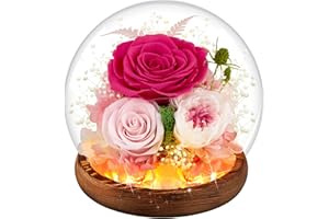 MOKOQI Pink Rose Gifts for Mom on Mothers Day, Birthday Gifts for Women Preserved Rose Real Flowers in Glass Dome with LED Strip, Preserved Flowers Rose Gifts for Wife Girlfriend Mom on Birthday
