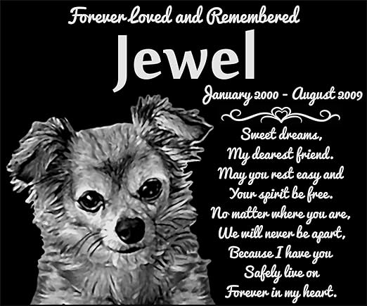 chihuahua memorial stone