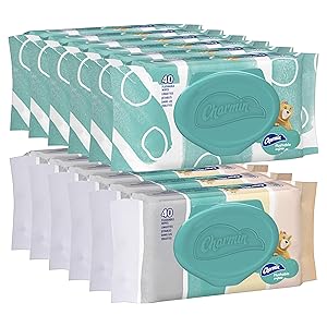 Charmin Freshmates Flushable Wet Wipes for Adults, 12 Resealable Packs, 40 Wipes per Pack (480 Wipes Total)