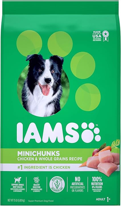 english pointer rescue centre