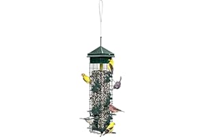 BROME Squirrel Solution200 Squirrel-proof Bird Feeder w/6 Feeding Ports, 3.4-pound Seed Capacity, Free Seed Funnel